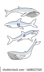 Two sharks and two whales are drawn in a continuous thin line.