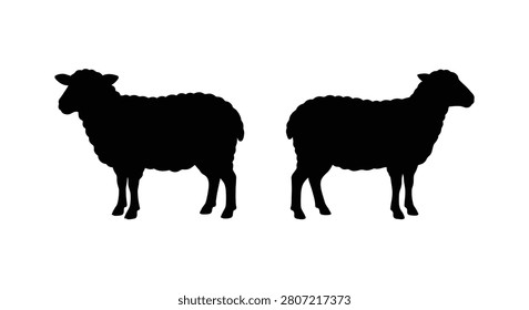 Two sheep standing in profile a black silhouette against a white background silhouette ovine ram ewe