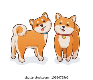Two shiba inu dogs. Both standing and smiling. One wearing red collar another in blue collar with a tongue. Isolated on white background