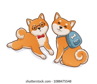 Two shiba inu dogs. One lying wearing glasses and red bow tie another sitting with a blue backpack. Isolated on white background