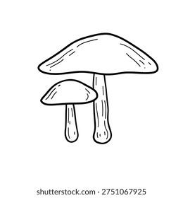Two shiitake mushrooms drawing, vector mushroom sketch
