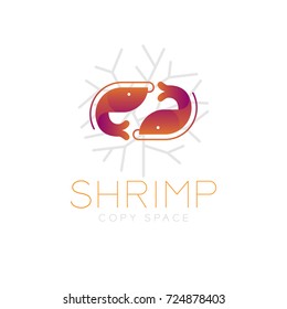 Two Shrimp symbol icon and coral set orange violet gradient color design illustration isolated on white background with Shrimp text and copy space, vector eps10