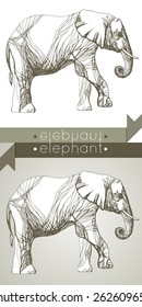Two silhouette of an elephant. One silhouette with brown and white fill inside the contour, a second transparent, consisting only of the circuit 