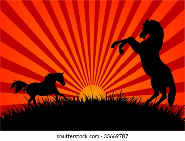 Two silhouetted horses in a field at sunset