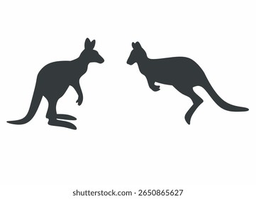 Two silhouettes of Kangaroo on white background 