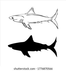 dos siluetas de tiburones sobre fondo blanco