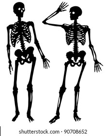 Two silhouettes of a skeleton of the person