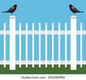 Two similar birds are standing on a white picket fence staring at each other