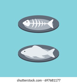 two simple clean plates with eaten & whole fish - after & before icon. sea food symbol flat design style menu restaurant isolated vector. bones fish sign cartoon in a restaurant. 