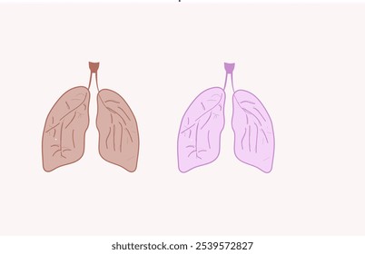 two Simple Cutout Illustrations of human lungs. The left lung is above the surface with a shadow, the right lung is hidden in the background with a floating pulmonary bronchus. Vector illustration