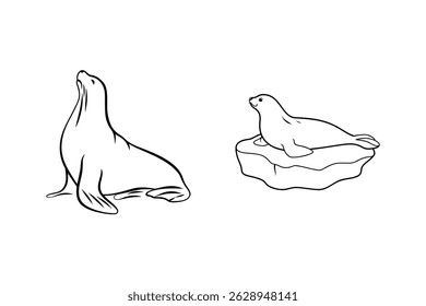 Two simple line art illustrations of seals in different poses against a white background
