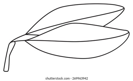 Two simple orange leaves on white background in the Shadeful forest collection