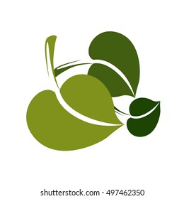 Two simple vector green deciduous tree leaves, stylized nature element. Ecology symbol, can be used in graphic design.