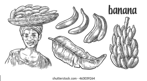Two single and bunches of fresh banana with leaf. African woman carries a basket with fruits on her head. Vector black vintage engraving illustration isolated on white background. For menu, web, label
