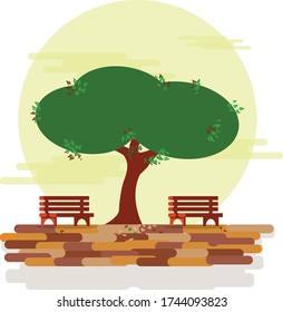 dos sitios con vista de árbol verde