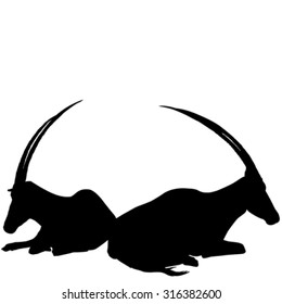 Two sitting antelopes silhouettes on white background