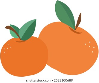 Two size oranges transparent vector	
