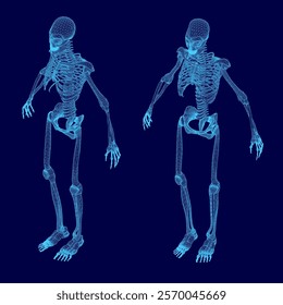 Two skeletons are displayed in a blue background, one of which is missing its head. The skeletons are positioned in such a way that they appear to be standing next to each other