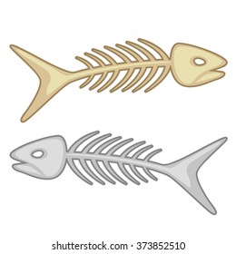 Two skeletons of fishes isolated on white background. Vector cartoon close-up illustration.