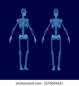 Two skeletons, one on the left and one on the right, both in blue. The skeletons are positioned in a blue background, which creates a sense of depth and contrast