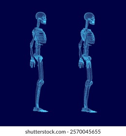 Two skeletons are shown in a blue background. The skeletons are standing upright and looking at the camera. The image has a futuristic and somewhat eerie feel to it