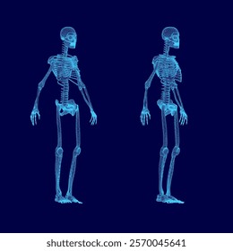 Two skeletons are shown in blue, one of which is missing a head. The skeletons are standing next to each other, and the blue color of the skeletons gives a sense of coldness and lifelessness