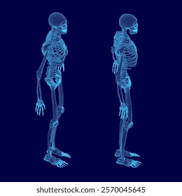 Two skeletons are shown in blue, one standing and the other sitting. The blue color gives a sense of depth and dimension to the skeletons, making them appear more lifelike. Scene is somewhat eerie