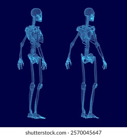 Two skeletons are shown in blue, one of which is missing a head. The skeletons are standing in a blue background, and they appear to be in a digital or computer-generated image