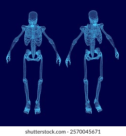 Two skeletons are shown in blue, one of which is missing a rib cage. The skeletons are positioned in such a way that they appear to be in a pose, possibly for a photograph or a piece of art