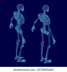 Two skeletons are standing side by side on a blue background. The skeletons are in a very detailed and realistic manner, with their bones clearly visible. Scene is somewhat eerie and unsettling