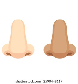 Two Skin Tone Noses On White Background