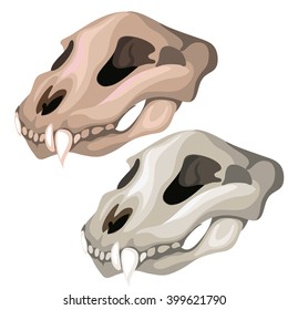 Two skulls dog isolated on a white background. Vector illustration.