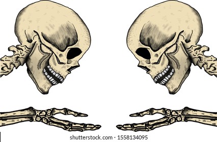 two skulls that were face to face