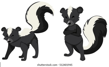 Two skunks on white background illustration