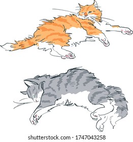 Two sleeping cats. Vector. The sleeping cats 