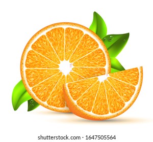 Two slices of citrus with green leaves on a white background. Highly realistic illustration.