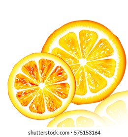 two slices of lemon , grapefruit and orange.Vector illustration