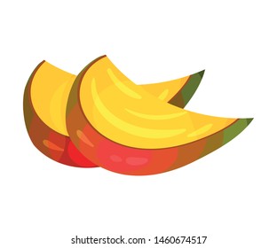 Two slices of mango. Vector illustration on white background.