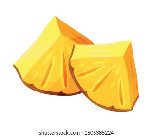 Two slices of pineapple. Vector illustration on a white background.