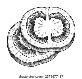 Two slices of tomato. Food illustration in the graphic line art style. Hand drawn vector outline element of healthy meal. Perfect for vegetable menu creating and sketch drawing designs.