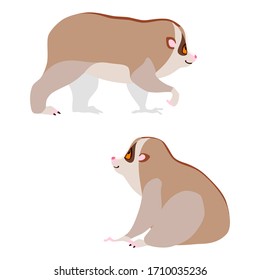 Two Slow Loris. Illustration Of Walking And Sitting Slow Loris Drawn In A Flat Style. Isolated Objects On A White 
Background. Vector 8 EPS