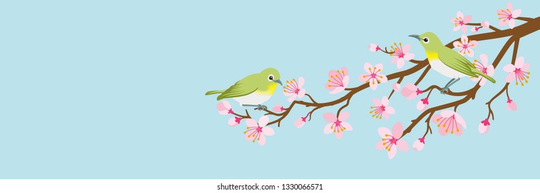 Two small birds perch on cherry blossom branch -Zosterops japonicas, Header ratio