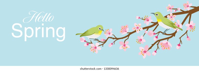 Two small birds perch on cherry blossom branch, including words “Hello Spring"-Zosterops japonicas, Header ratio