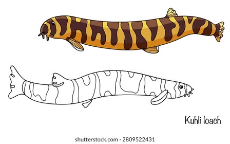 Two small, hand-drawn freshwater fish with long, snake-like bodies. They are yellow with dark brown stripes. Sensitive barbels for locating food are positioned around their mouths. Kuhli loach.