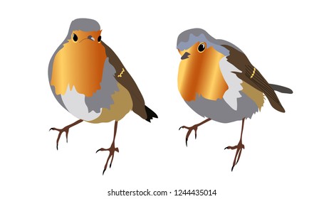 Two small robins on a transparent background. Can be used independently of each other.