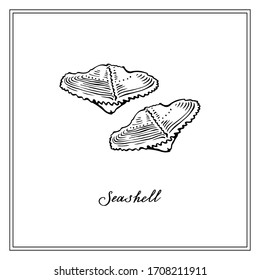 Two Small Seashells. Black and white square card. Hand-drawn collection of greeting cards. Vector illustration.