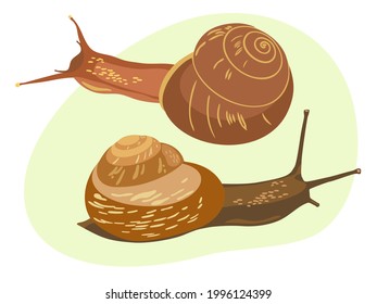 Two snails on a green abstract spot. Vector illustration isolated on white background.