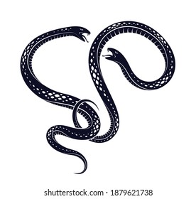 Two snakes fighting vector classic style symbolic tattoo, venomous serpents struggling.