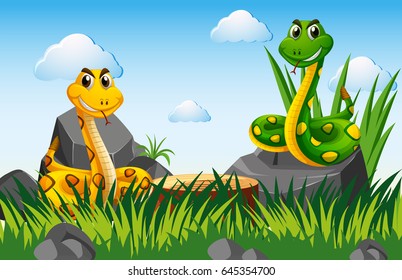Two snakes in the garden illustration