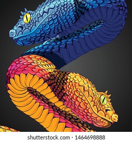 Two Snakes illustration art vector